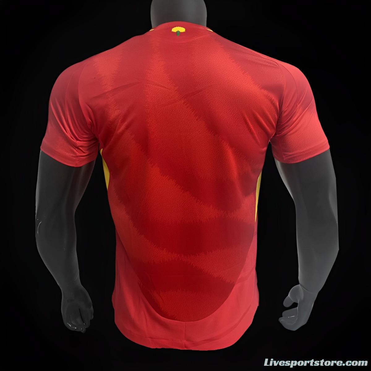 Player Version 2024 Spain Home Jersey